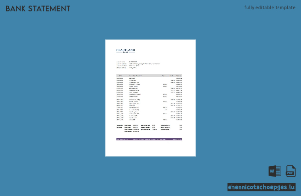 Beispiel eines Kontoauszugs der New Zealand Heartland Bank (Excel-Vorschau)